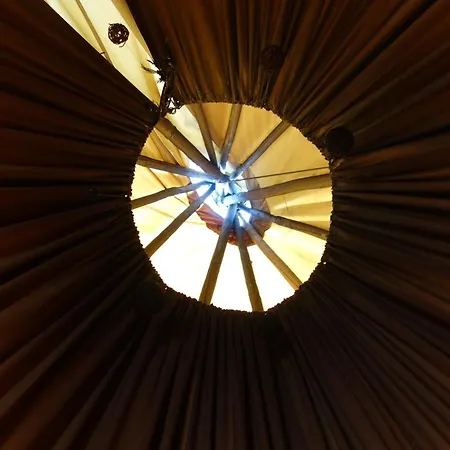 Levaltipis *