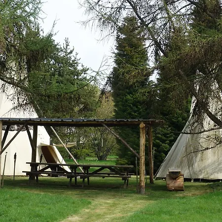 Levaltipis