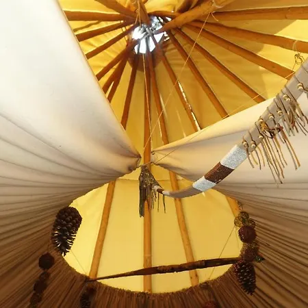 Levaltipis Saint-Gâtien-des-Bois