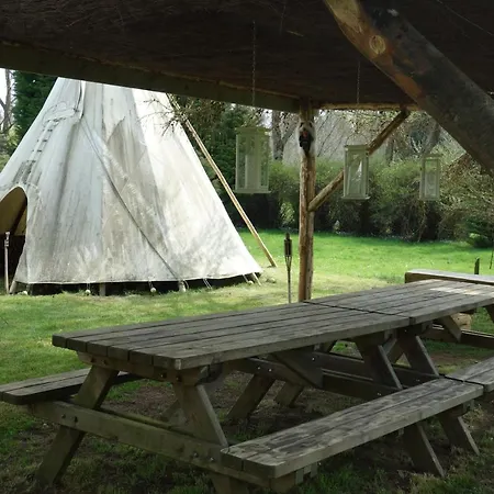 Levaltipis *