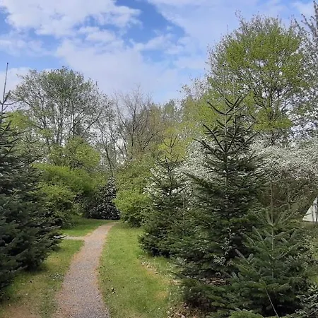 אוהל מפואר Levaltipis *