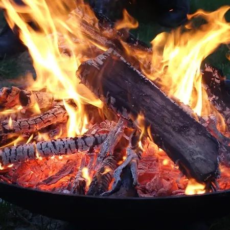 אוהל מפואר Levaltipis *