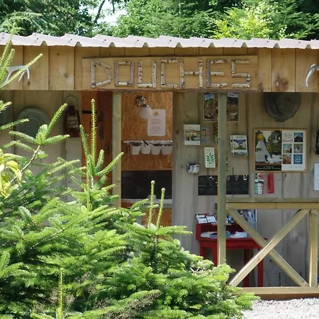Levaltipis