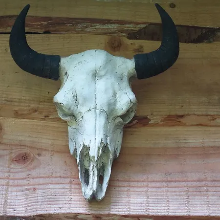 Levaltipis אוהל מפואר *