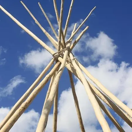 Levaltipis