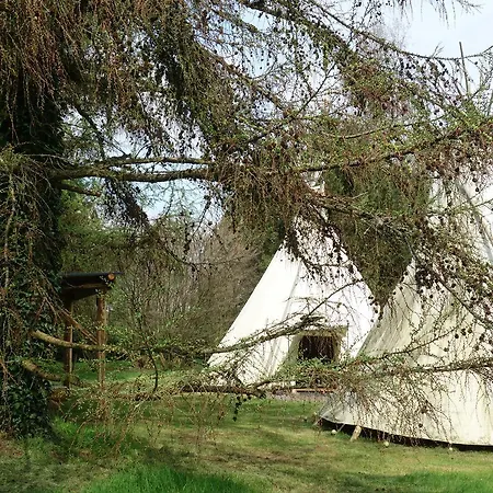 Levaltipis *