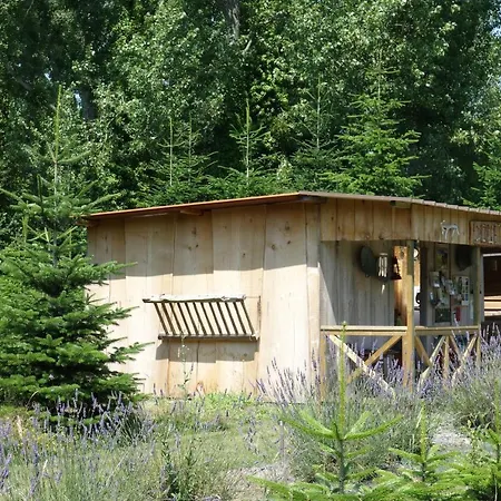 Levaltipis Saint-Gâtien-des-Bois