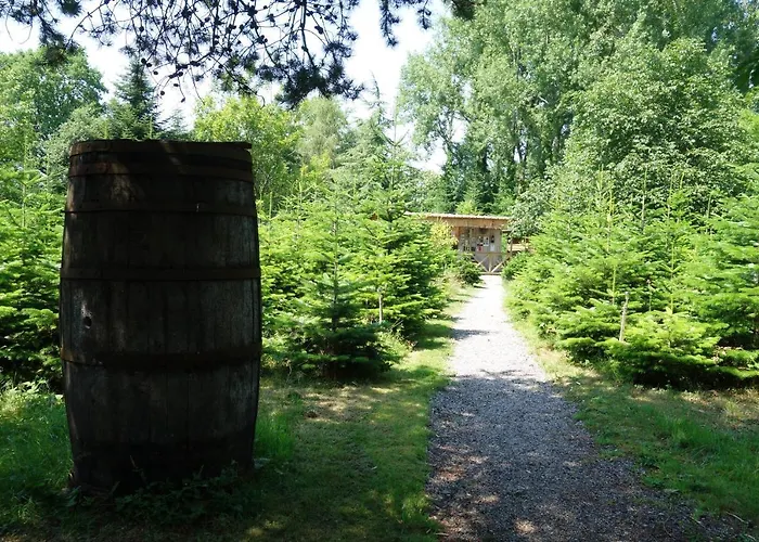 Levaltipis Saint-Gâtien-des-Bois