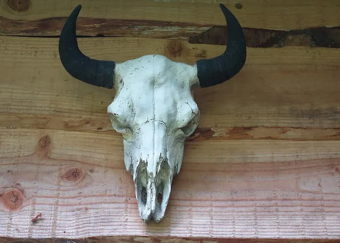 Levaltipis Οργανωμένο κάμπινγκ *